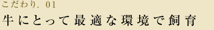 こだわり.01 牛にとって最適な環境で飼育