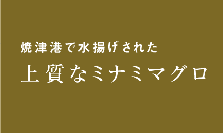 焼津港で水揚げされた上質なミナミマグロ