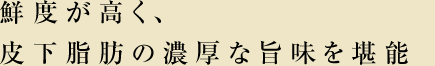 鮮度が高く、皮下脂肪の濃厚な旨味を堪能