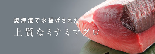 焼津港で水揚げされた上質なミナミマグロ